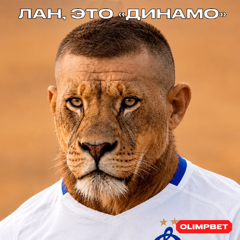 Фото поста канала OLIMPBET
