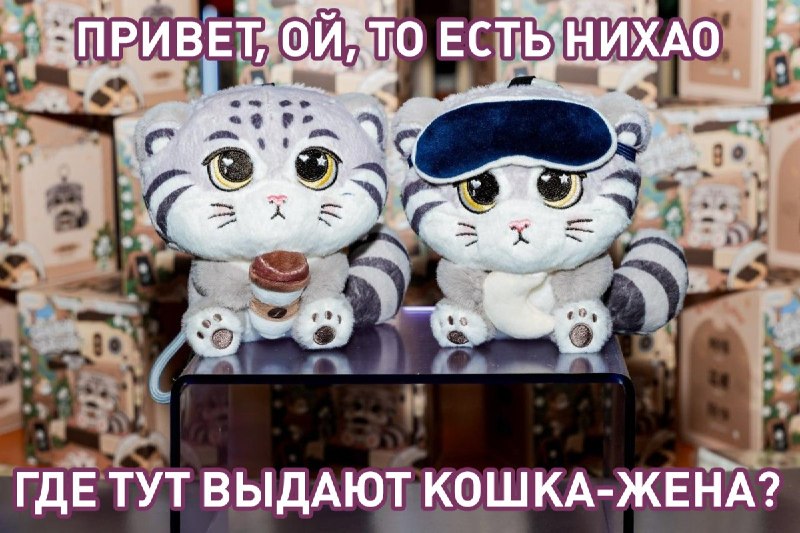 Фото поста канала  Лентач