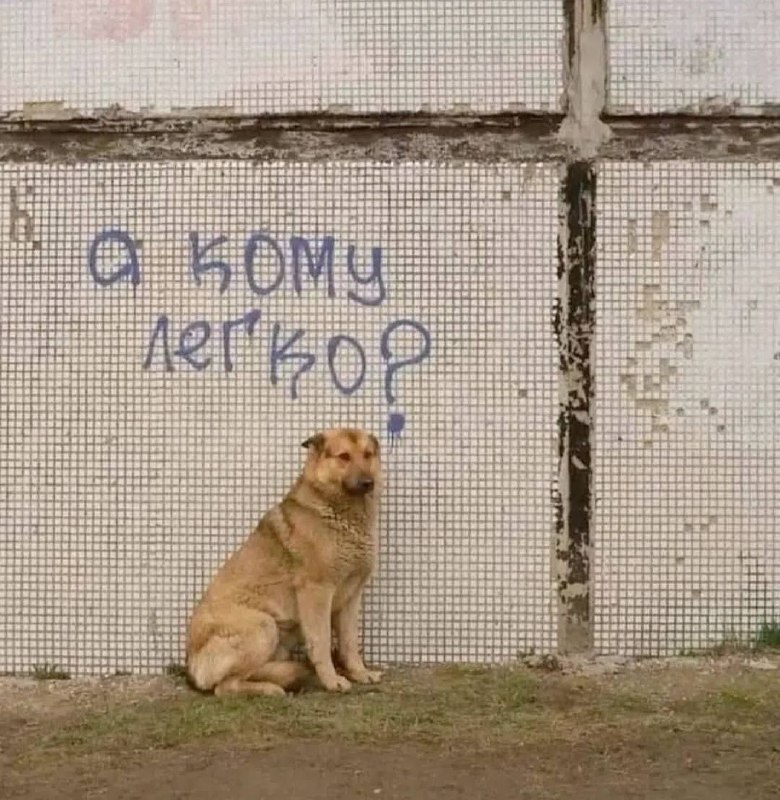 Фото поста канала  ЧС Тюмень
