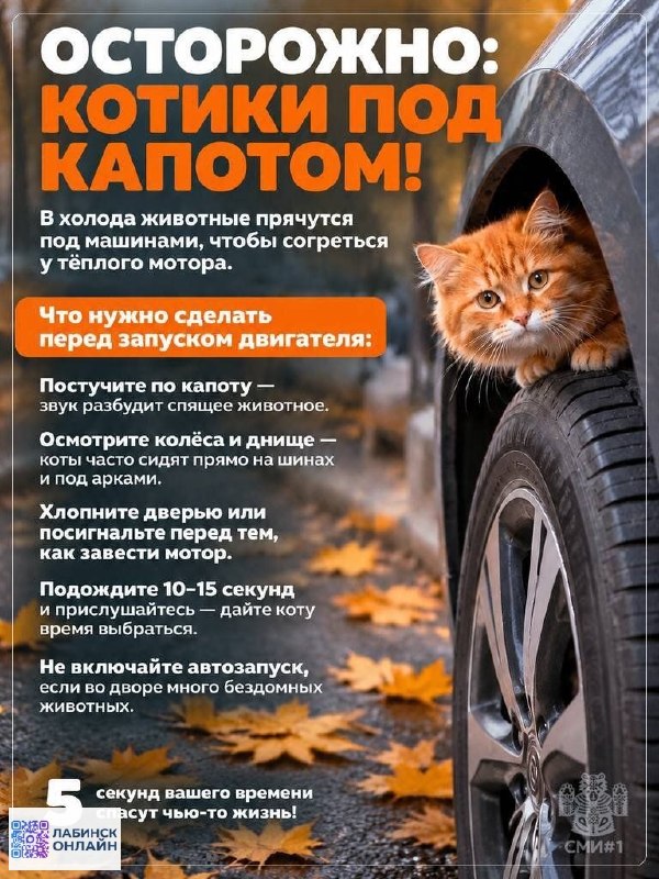 Фото поста канала  Лабинск Онлайн Новости 🇷🇺