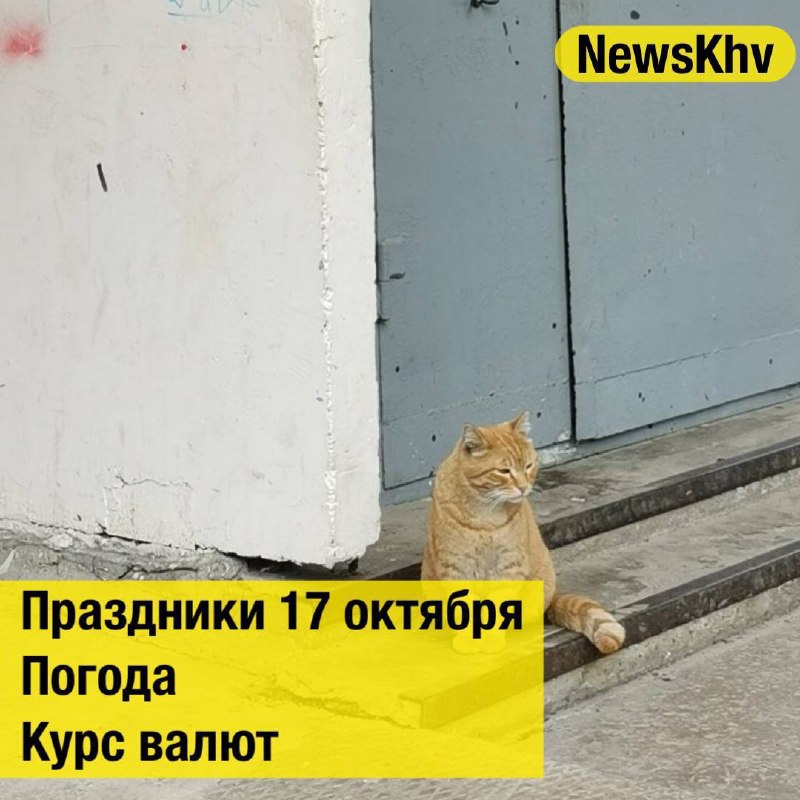 Фото поста канала  NewsKhv