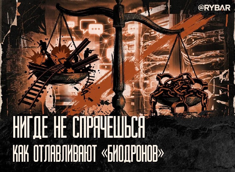 Фото поста канала Рыбарь