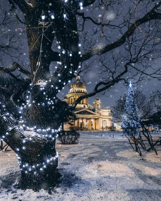 Фото поста канала Питер сейчас