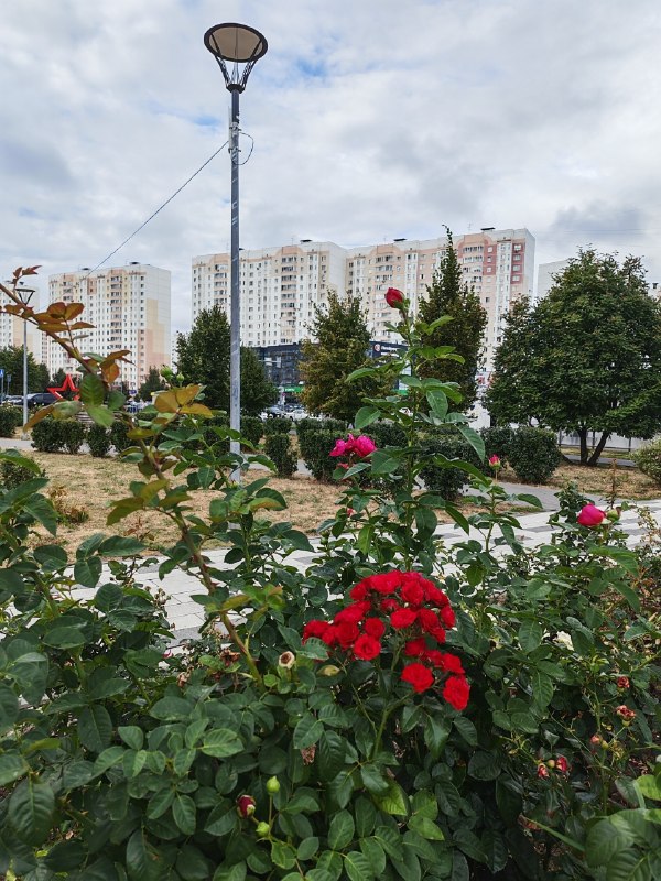 Фото поста канала  КУРСКИЙ БОМОНДЪ