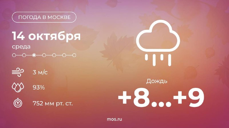 Фото поста канала  РИТА ЭБЗЕЕВА
