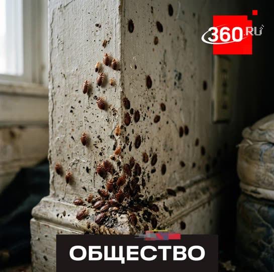 Фото поста канала  360.ru