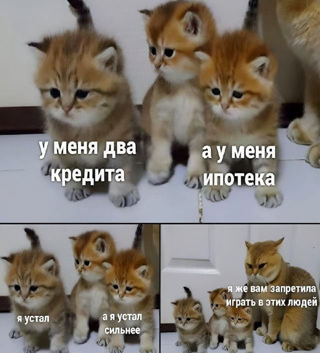 Фото поста канала  Телеканал UTV
