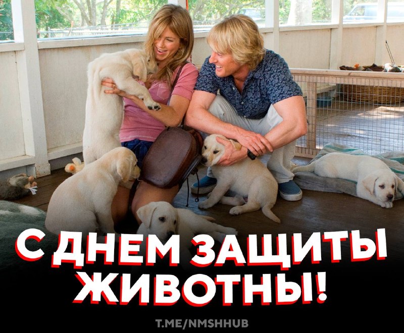 Фото поста канала НМШ 