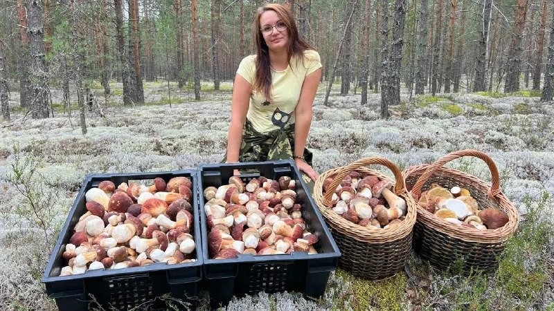 Фото поста канала  «Лисичанск - колыбель Донбасса»