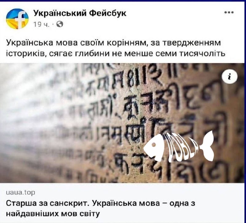 Фото поста канала  Новостной ZOV