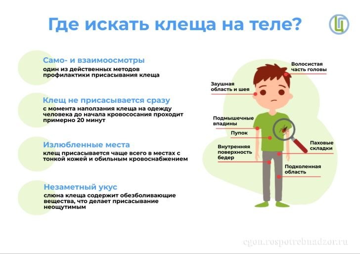 Фото поста канала  Жесть Волгограда
