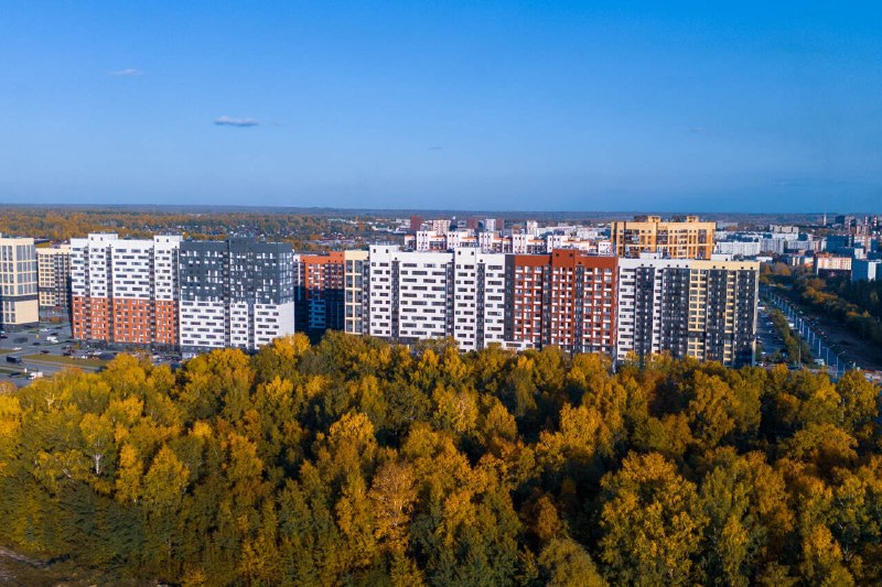 Фото поста канала НГС — новости Новосибирска