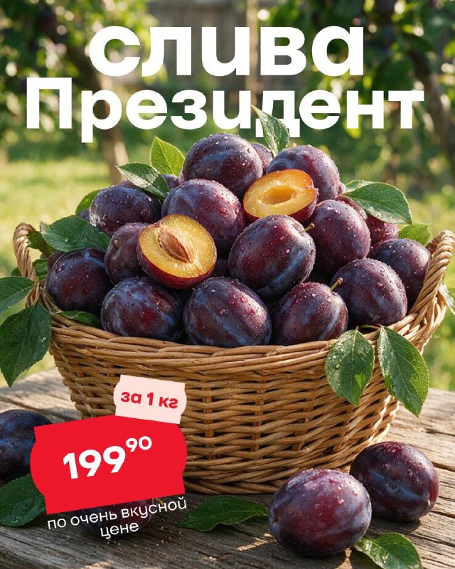Фото поста канала Мой SPAR